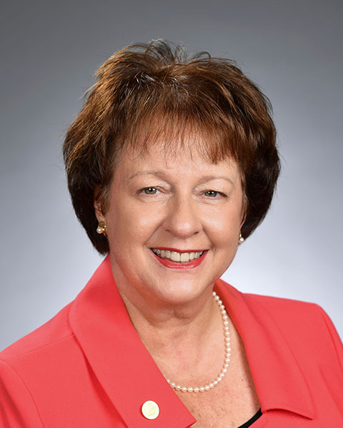 Laurie L. McNichol, MSN, RN, CNS, GNP, CWOCN, CWON-AP, FAAN photo