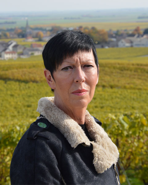 Doris D'hooghe photo