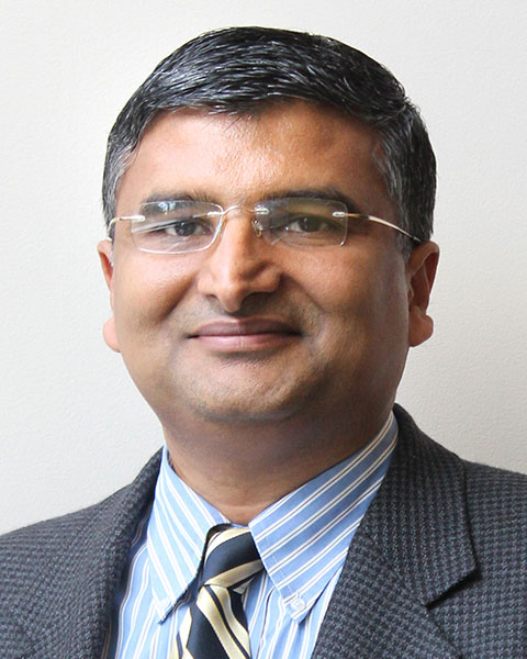 Jaydev P. Desai, PhD photo