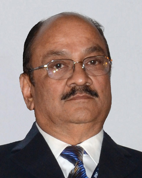 Mahesh Desai photo
