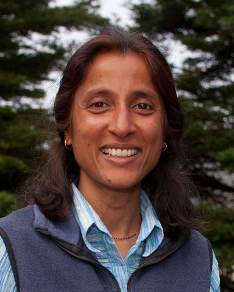 Sunita P. Ho photo