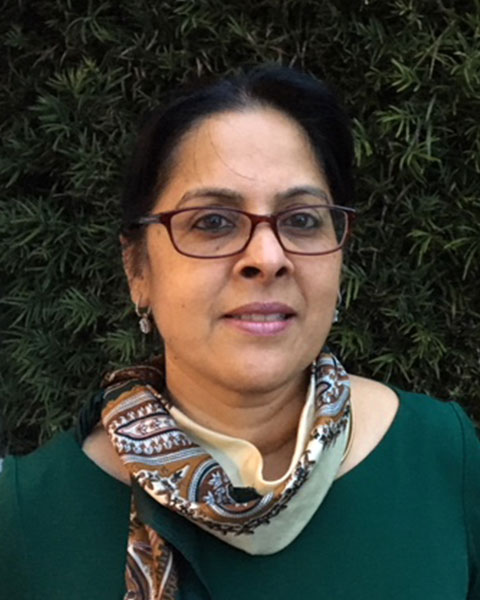 Sandy Srinivas photo