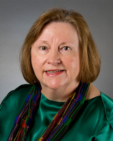 Pamela J. Burke, PhD, RN, FSAHM, FAAN photo