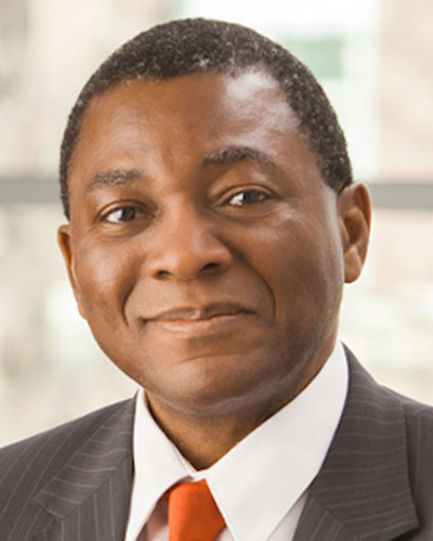 H. Dele Davies, MD, MS, MHCM, FAAP photo