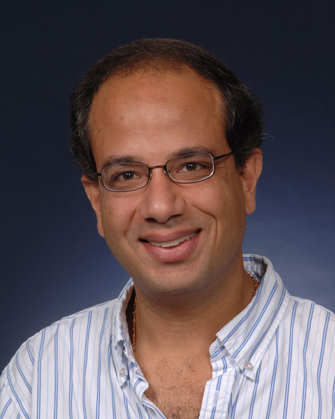Mina Seif photo