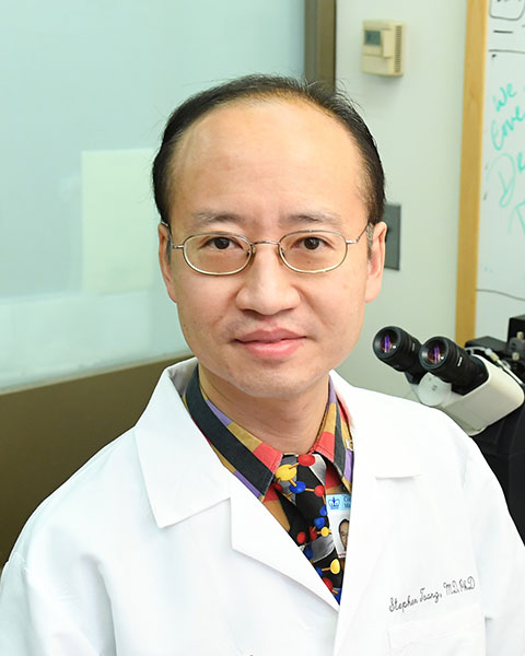 Steve Tsang, MD, PhD photo