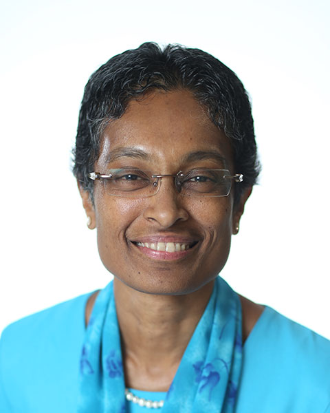Satya Jonnalagadda, PhD, MBA, RDN photo
