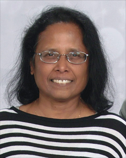 Mathini Paragnana Sreetharan, PdD, PE photo