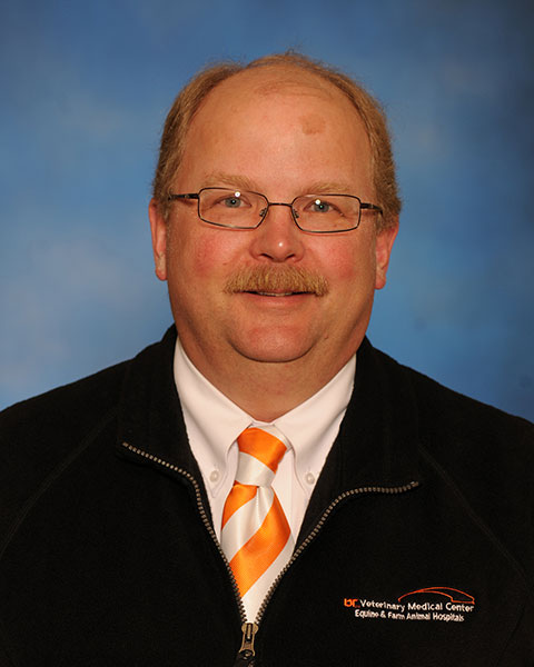 David E. Anderson, DVM, MS, DACVS photo