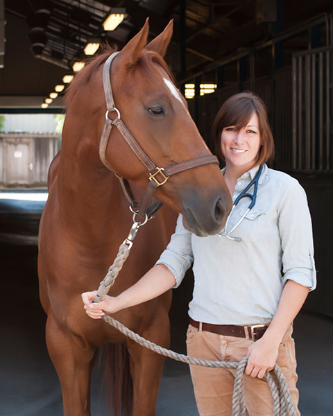 Elizabeth M. Collar, BS, DVM, DACVS-LA photo