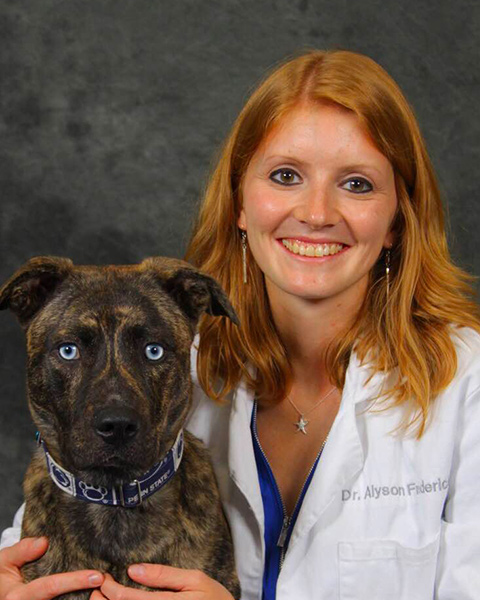 Alyson N. Frederick, DVM photo