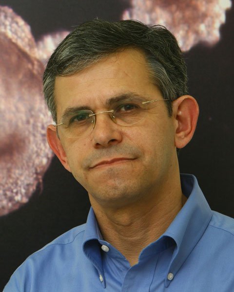 Nissim Benvensity photo