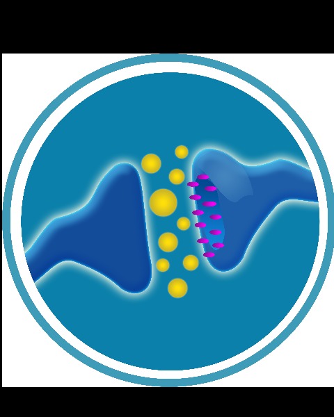 Hormones Demystified, MD photo