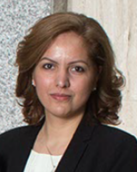 Sina Jasim, MD. MPH photo
