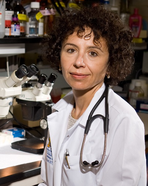 Rodica Pop-Busui, MD, PhD photo