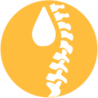 Musculoskeletal Track